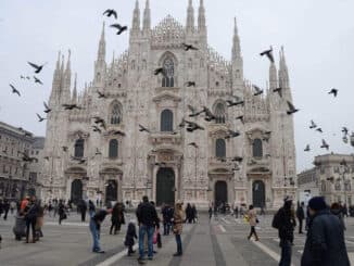 emergenza piccioni milano