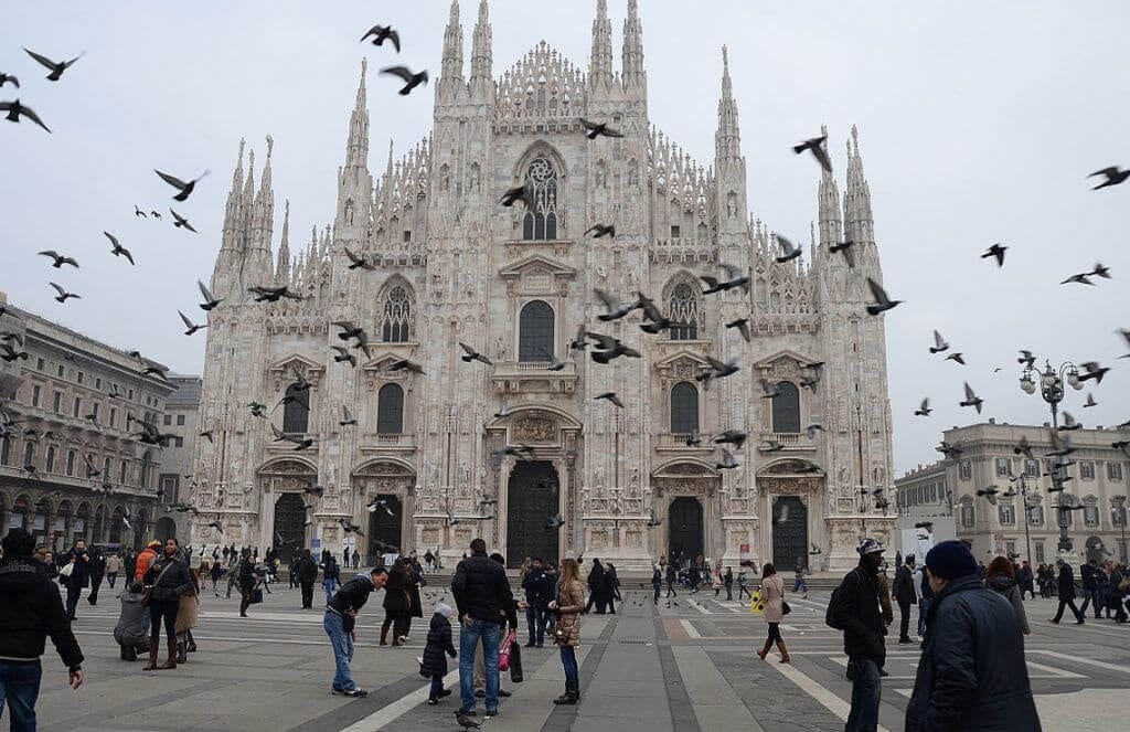 emergenza piccioni milano