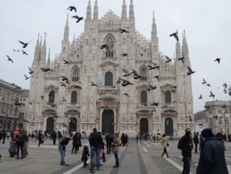 emergenza piccioni milano